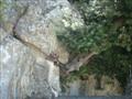 Grotta di San Michele